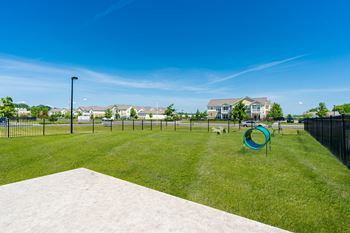 Two dog parks